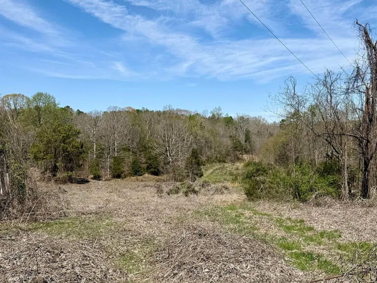 Field