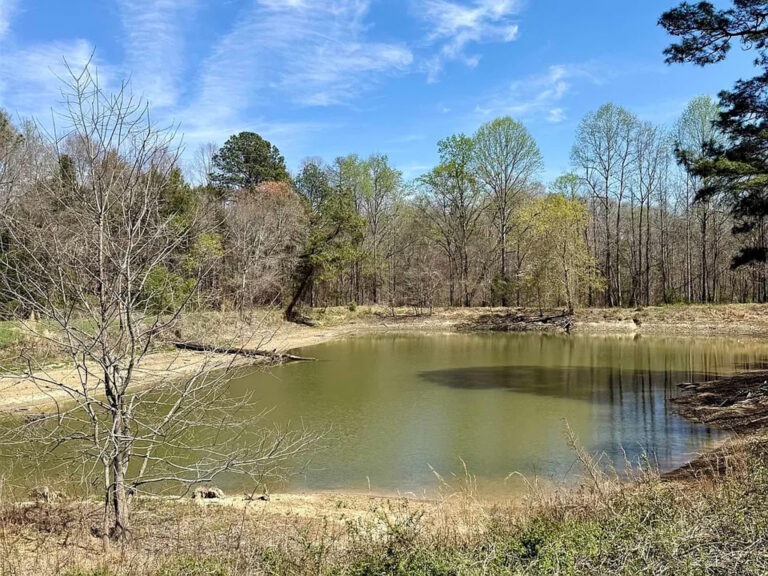 Pond